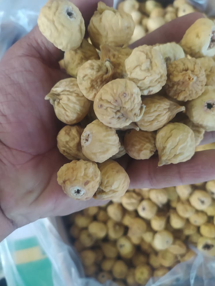 فروش بهترین انجیر خشک دستچین دو آ + با قیمت کارخانه